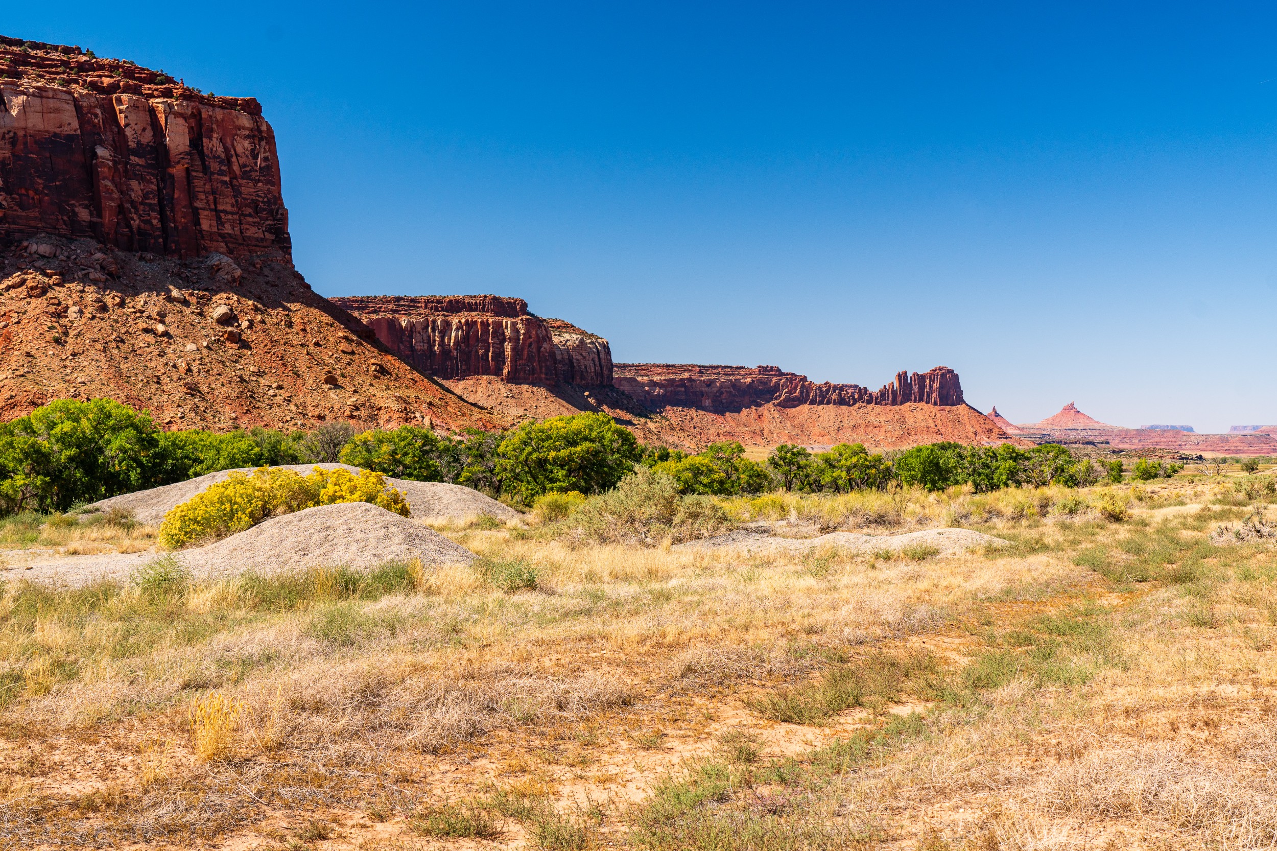 USA 2024 5 Sterne 88